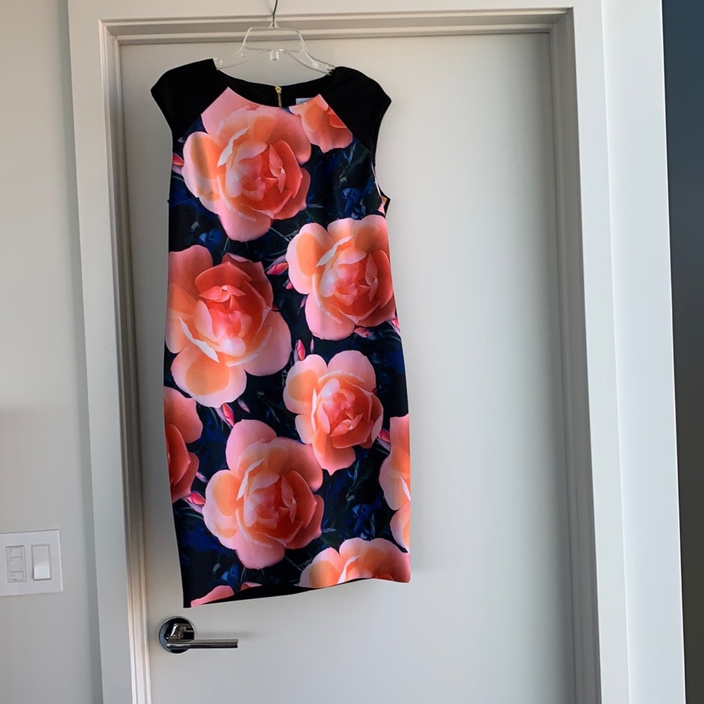 Size 14 Calvin Klein Dress